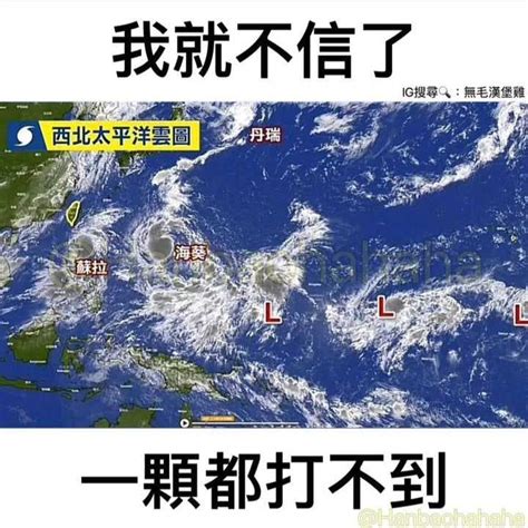 米黃色 颱風 梗圖